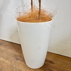 インテリア用 観葉植物 フェイク 造花 グリーンの画像