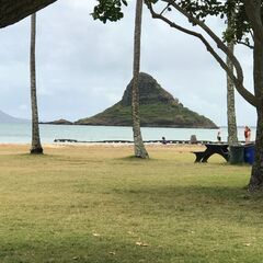 Hula Halau O Pumehana 四ツ谷 初級 class　＆　enjoy classの画像