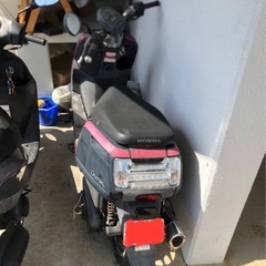 HONDA DUNKの画像