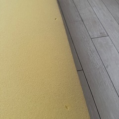 トゥルースリーパー　セミダブルの画像