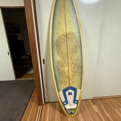サーフボードショートの画像