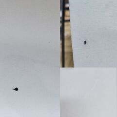 遮光ロールスクリーン180cm×130cm、ホワイトの画像