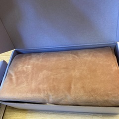 蓄熱式湯たんぽ2つ 多機能 ホットマット1つ の画像