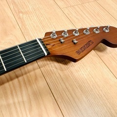 BUSKER’S BST-Standard  バスカーズ　ストラトキャスター の画像