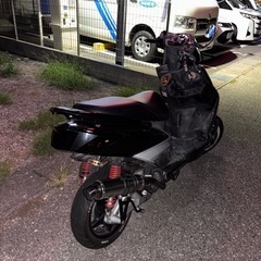 シグナス2型　不動車の画像