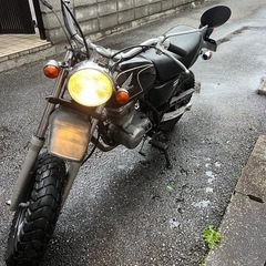 エイプ
の画像