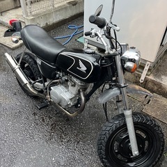 エイプ
の画像