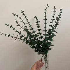 フェイクグリーン　ユーカリ　の画像