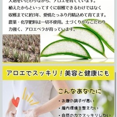 沖縄県産 無農薬アロエベラジュース 葉肉入り 1L 1000ml これが本物のアロエベラの画像