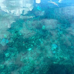 伊芸海浜公園近くにsup・カヤック・倉庫ヤードの画像