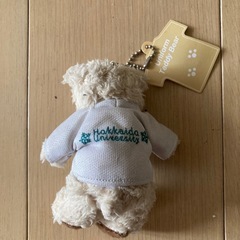新品未使用品！テディベア 北海道大学の画像