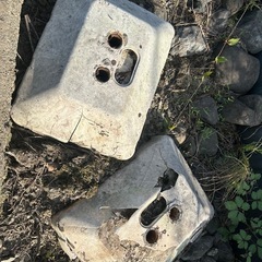 無料の画像