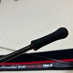 ストイストrt  79MLMの画像