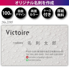 名刺印刷 100枚 両面 フルカラー 紙ケース付 No.2…