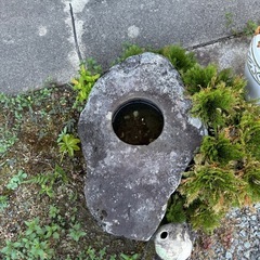 自然石の水鉢　引き取りの画像