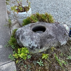 自然石の水鉢　引き取りの画像