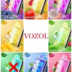 海外直輸入　入手困難　ニコパフ　VOZOL RAVE 40000パフ　N5% の画像