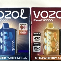 海外直輸入　入手困難　ニコパフ　VOZOL RAVE 40000パフ　N5% の画像