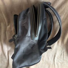 コーチ メンズ COACH アカデミー バックパック ウィズ ワイルド リュックの画像