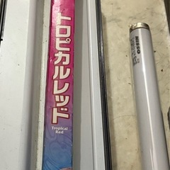 60センチ水槽蛍光灯の画像