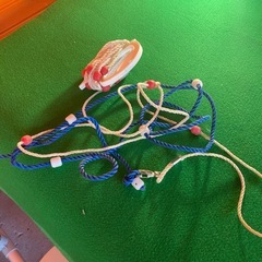 活かし網 スカリ
の画像