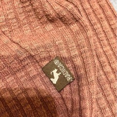 犬　ラディカ　服の画像