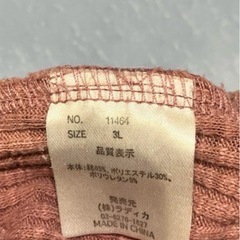 犬　ラディカ　服の画像