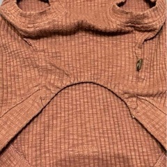 犬　ラディカ　服の画像