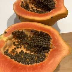 赤肉種のフルーツパパイヤ