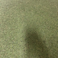 人工芝　マット　カーペット
の画像