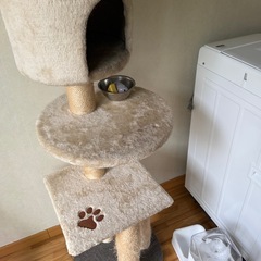 キャットタワー