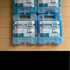 クーラーBOX 保冷剤付きの画像