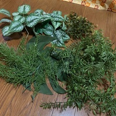 フェイクグリーン　10種以上　の画像
