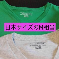 【連休セール】新品✨L＆Mサイズ Amazon Tシャツ 4枚まとめ売り レディース 無地 ピンク グレー グリーンの画像
