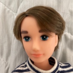 リカちゃんシリーズ？男の子人形の画像