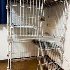 キャットケージ/ゲージの画像