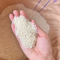 中米　コシヒカリ　白米　30キロの画像