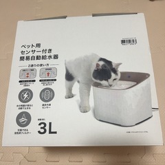 ペット 自動給水器 自動給餌器の画像