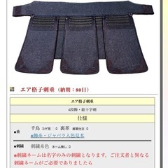 日武エア格子刺 面垂セットの画像