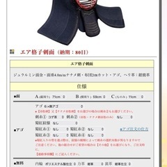 日武エア格子刺 面垂セットの画像