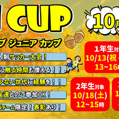 10月から開催！平日の朝おやこサッカー教室！お子様は2，3歳が対象！の画像