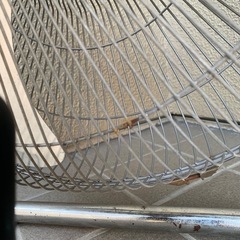 大型扇風機
の画像