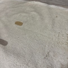 ホットカーペット（一畳用）の画像