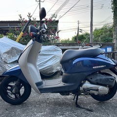 トゥデイ AF67 原付①の画像