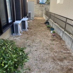 草むしり10m²6000円の画像