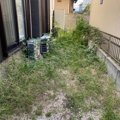 草むしり10m²6000円の画像