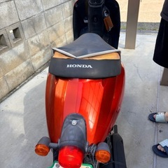 HONDA TODAYの画像
