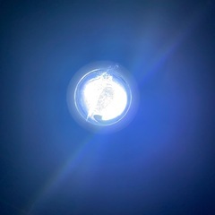 アドレスv125g イカリングの画像
