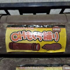 もぐら捕り　モグラの画像