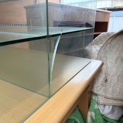 ガラス　陳列棚　大きいですですの画像